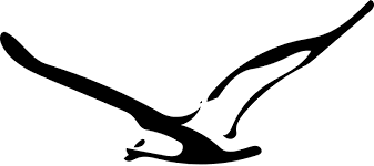 EL KARAMA S.C.